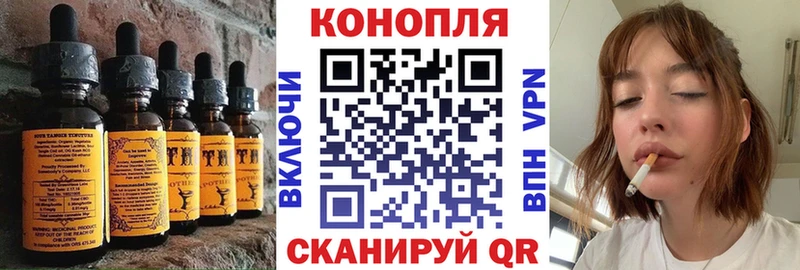 Canna-Cookies конопля  цена наркотик  Колпашево 