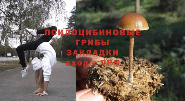 спайс Баксан