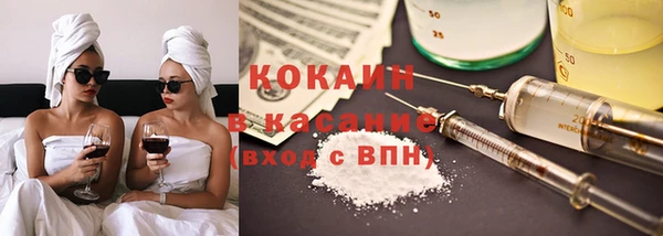 твердый Аркадак