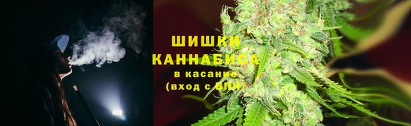 твердый Аркадак