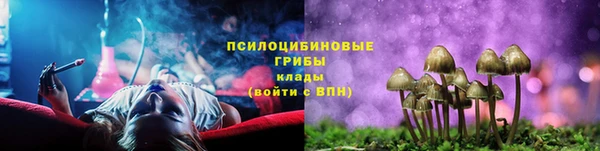 твердый Аркадак