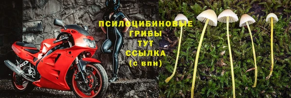 гашик Армянск