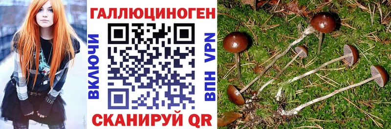 MEGA ONION  Колпашево  Псилоцибиновые грибы GOLDEN TEACHER 